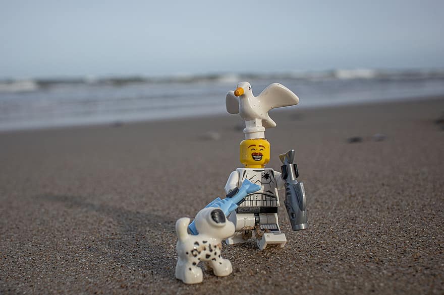 strand, Lego, visvangst, minifigures, hond, zee, meeuw, zand, kust, speelgoed-, zomer