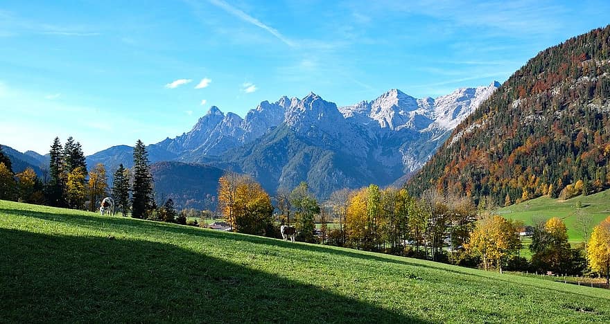 kalnai, pobūdį, kraštovaizdį, rudenį, Alpės, ruduo, sezoną, lauke, pievos, alm, Austrijoje
