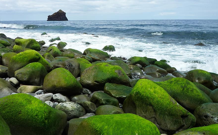 madeira, sahil, Sao Jorge, Kaya, Su, yaz, kıyı şeridi, peyzaj, dalga, mavi, yeşil renk