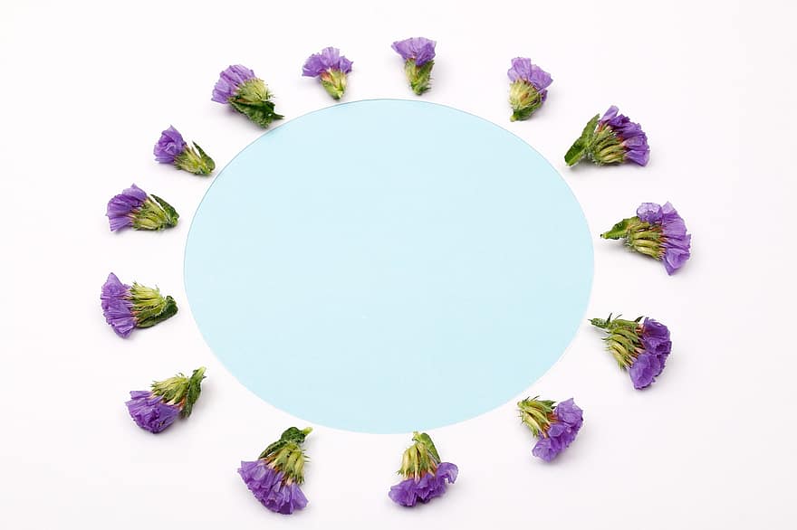 bunga-bunga, Latar Belakang, bingkai, bunga ungu, lavender laut, Statice, kelopak, berkembang, dekorasi, pengaturan, maket