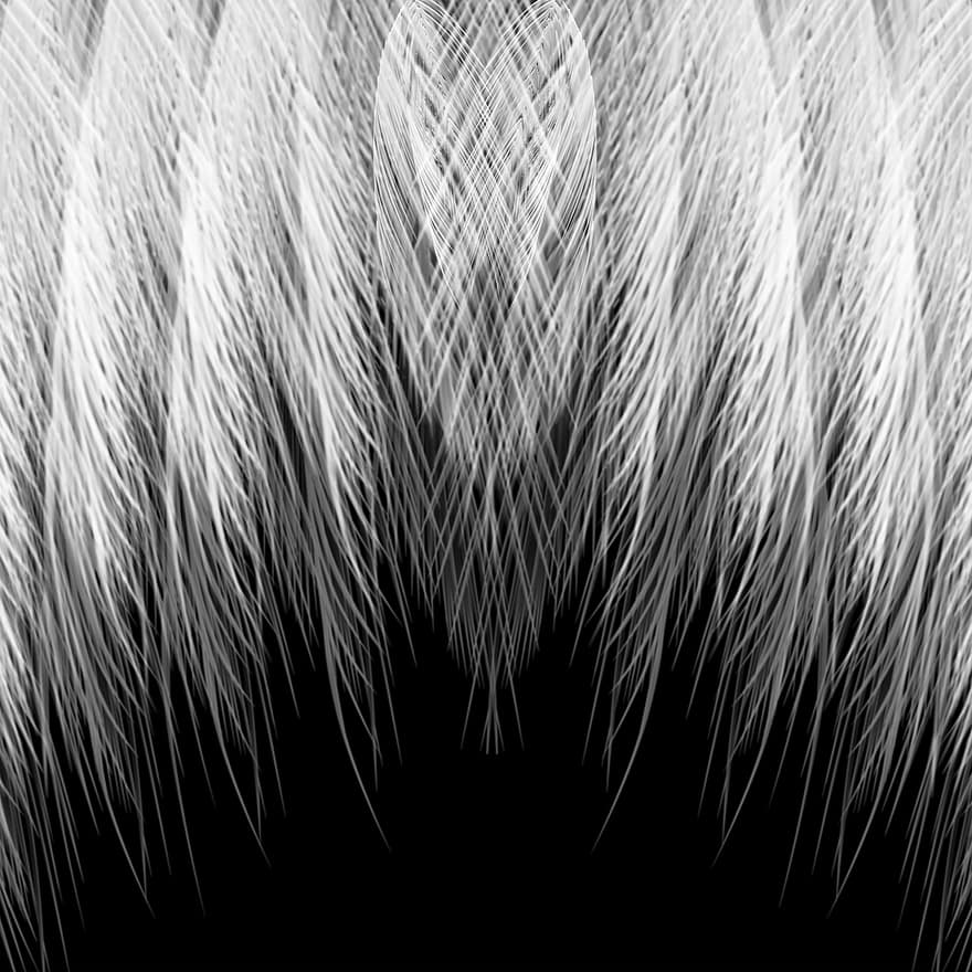 Feather, Graphic Design, Background, White, Texture, Pattern, Gray Background, Gray Texture, Gray Design