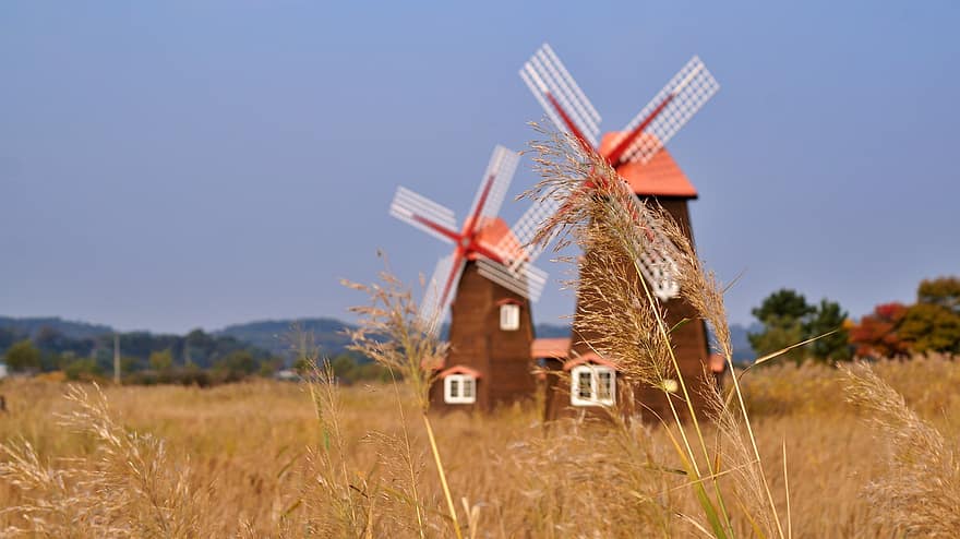Windmills, Wind Turbines, Field, Nature, Landscape, Park