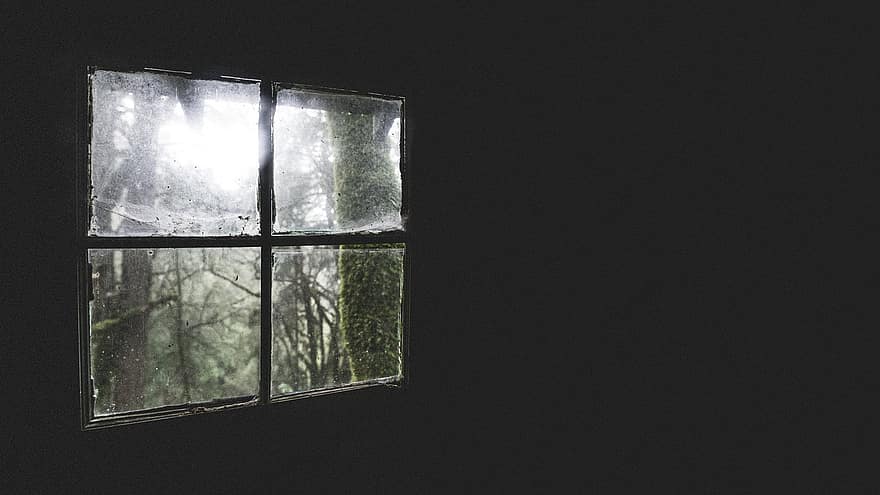 ikkuna, pimeä huone, metsä, woods, lasi-, sisällä, taustat, vanha, lähikuva, talvi-, tumma