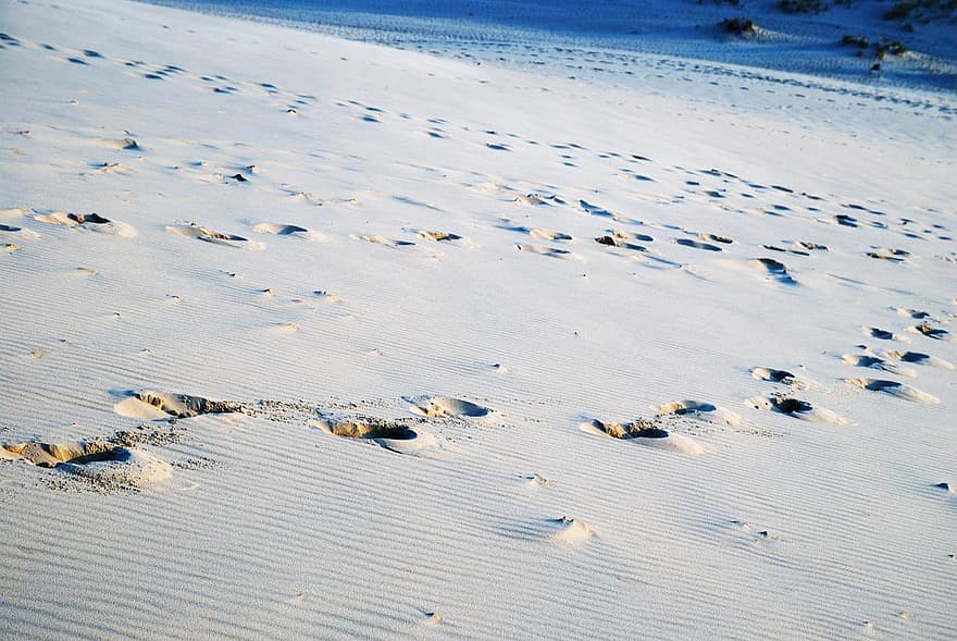 homok, emberi, vágány, nyomatok, dűne, lábnyom, sivatag