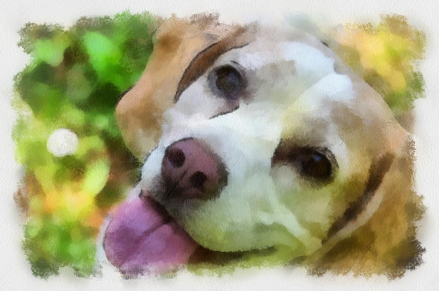 beagle, bức vẽ, chó, màu nước, vật nuôi