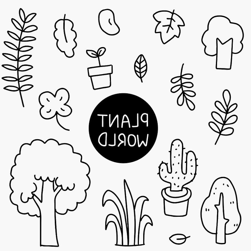 le foglie, piante, cactus, piante in vaso, albero, scarabocchi, disegni, disegnato a mano, fogliame, foglie cadute, natura