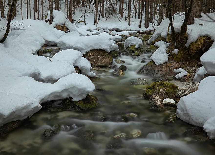 talvi-, lumi, joki, virta, puro, talvimaisema, pitkä altistus, luonto, metsä, puu, jää