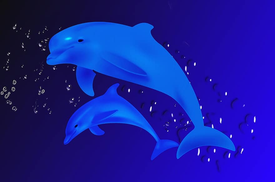 дельфін, риба, морське життя, морські ссавці, ссавець, води, крапельно, meeresbewohner, плавати, тварина, водна істота