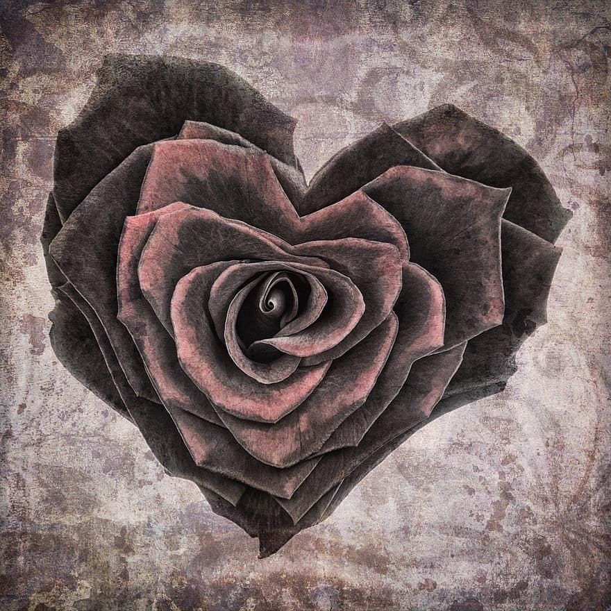 cœur, fleurs, carré, ancien, grunge, Rose, amour, romantique, marron, coeur de fleur, coeur d'amour