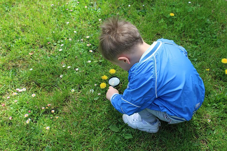 Child, Magnifier, Observation, Spring, Flowers, Education, Science, Curiosity