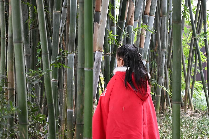 fetiță, copilărie, pădure de bambus, femei, o persoana, adult, pădure, frunze, stiluri de viață, tânăr adult, bărbați