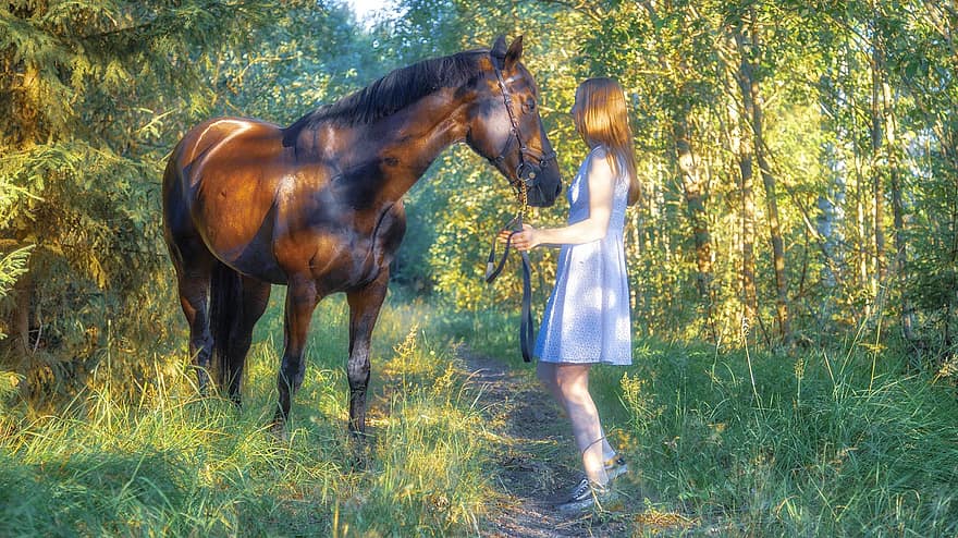 kuda, wanita, hutan, hewan, gadis, musim panas