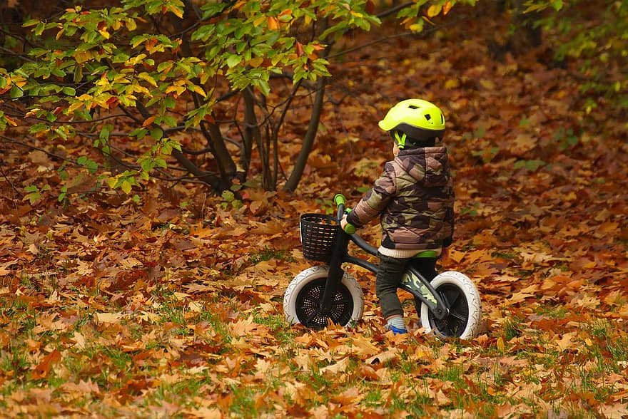 gyermek, ősz, bicikli, park, Kis kerékpár, kerékpározás, lehullott levelek, száraz levelek, gyermekkor, fiú, levelek