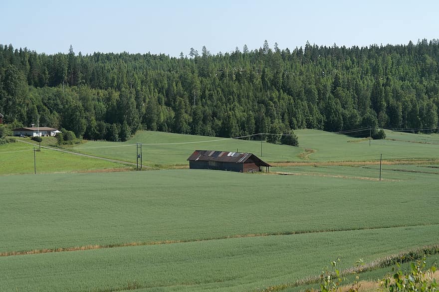 cánh đồng, nhà kho, nông thôn