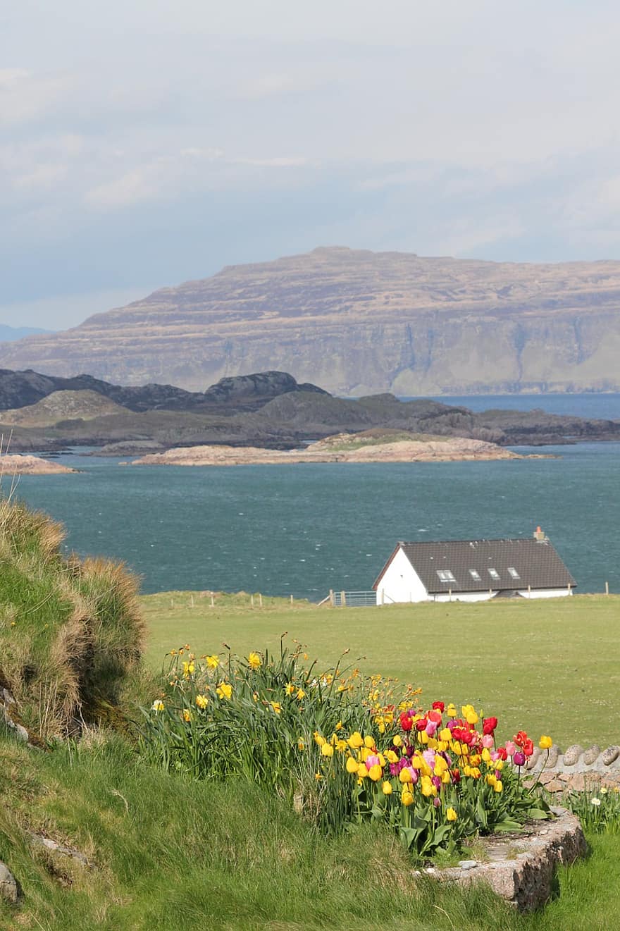 Countryside, House, Rural, Scotland, Iona, Hebrides