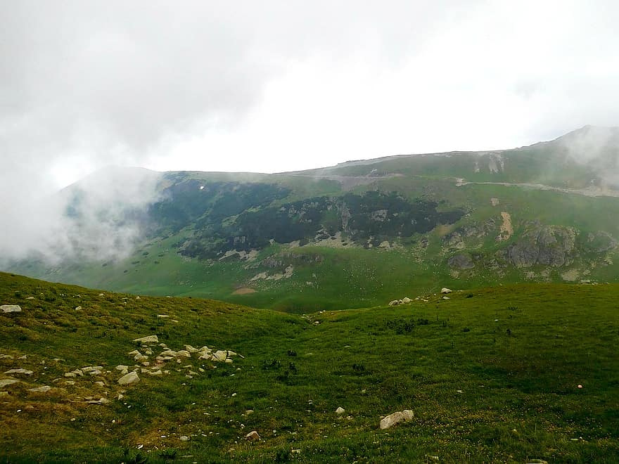 hory, táborník, nebe, mraky, panoráma, tráva, scénický, cestovat, horská túra, Pohled, Rumunsko