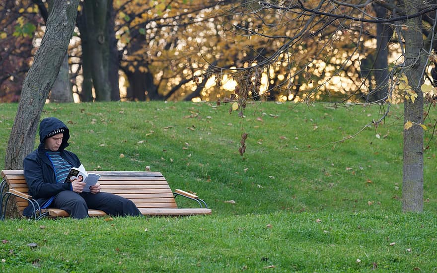 mężczyzna, ławka, czytanie, książka, park, wolny czas, trawa, jesień, posiedzenie, drzewo, dziecko