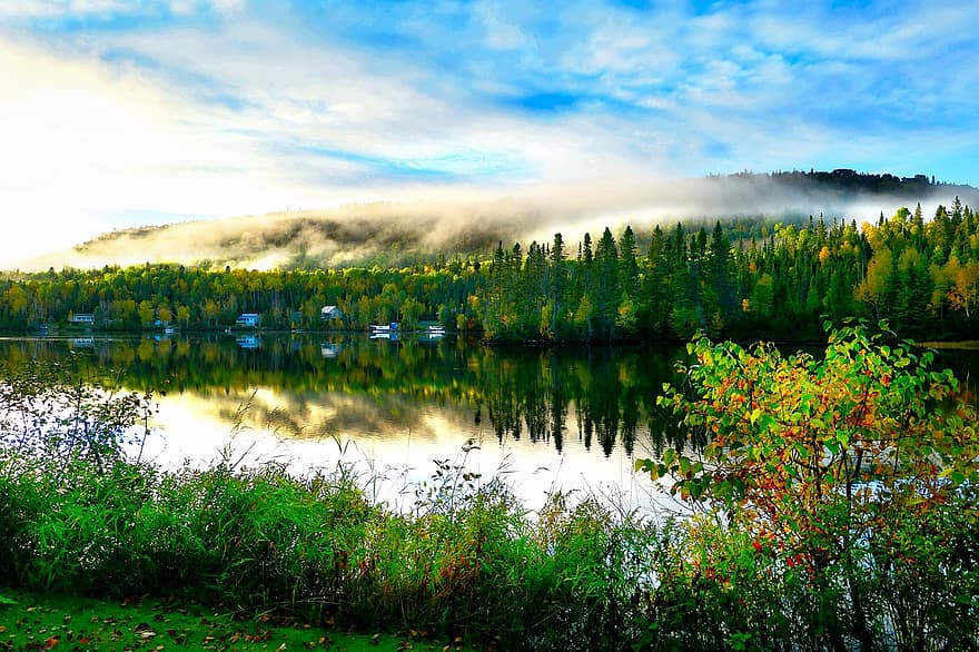 jezero, listy, mlha, les, jehličnany, podzim, hora, chaty, odrazy, mraky, životní prostředí
