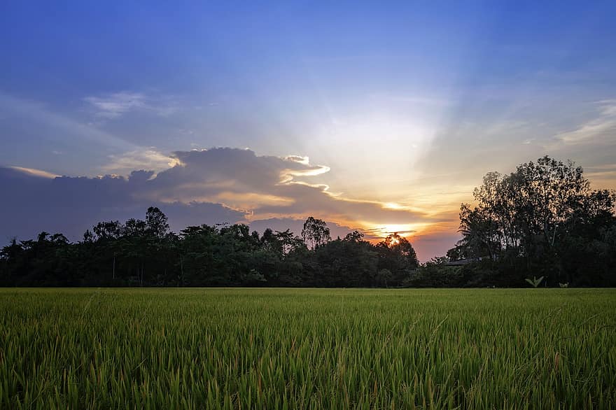Vietnam, landschap, mooi, hemel, wolk, boom, middag, straal, licht, veld-, verdrietig
