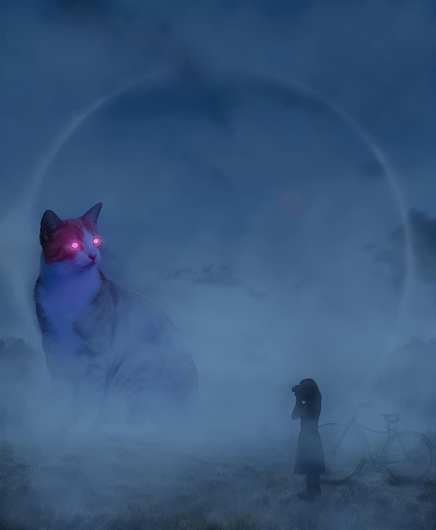 kočka, dívka, mlha, nebe