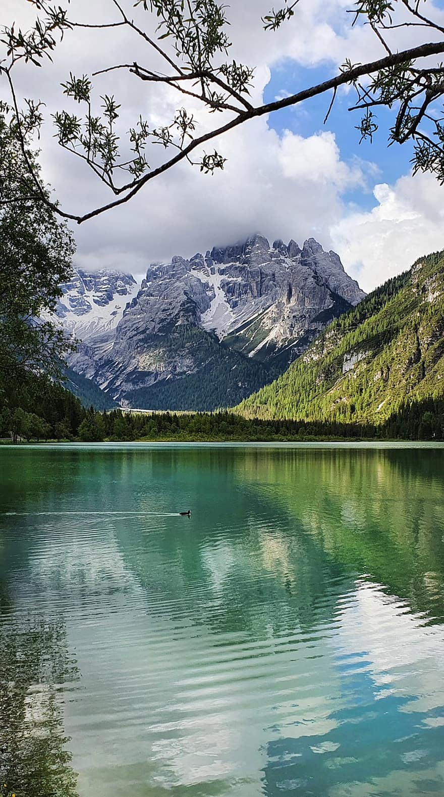 innsjø, fjellene, natur, landsbygda, alpine, fjellkjede, vann, vannrefleksjon, trær, løvverk, Dolomittene