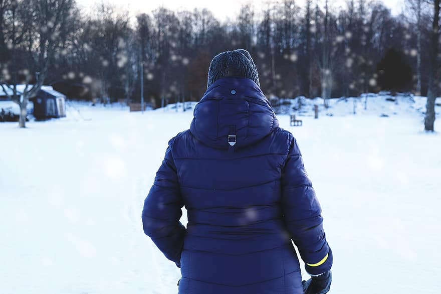 ziemā, sniegs, persona, modē, apģērbs, pastaigas, auksts, vien, ārā, atpakaļ skats, āra