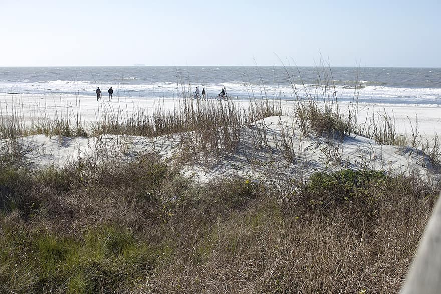 дюны, морская трава, океан, пляж, волны, велосипед, семья, природа, море, песок