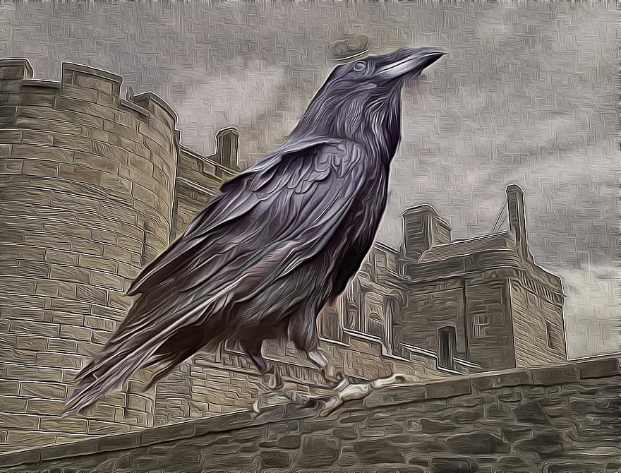 The King Of The Crows, Raven, Castle, Crown, Gimp, G'mic, Image Manipulation, Illustration, Decoration