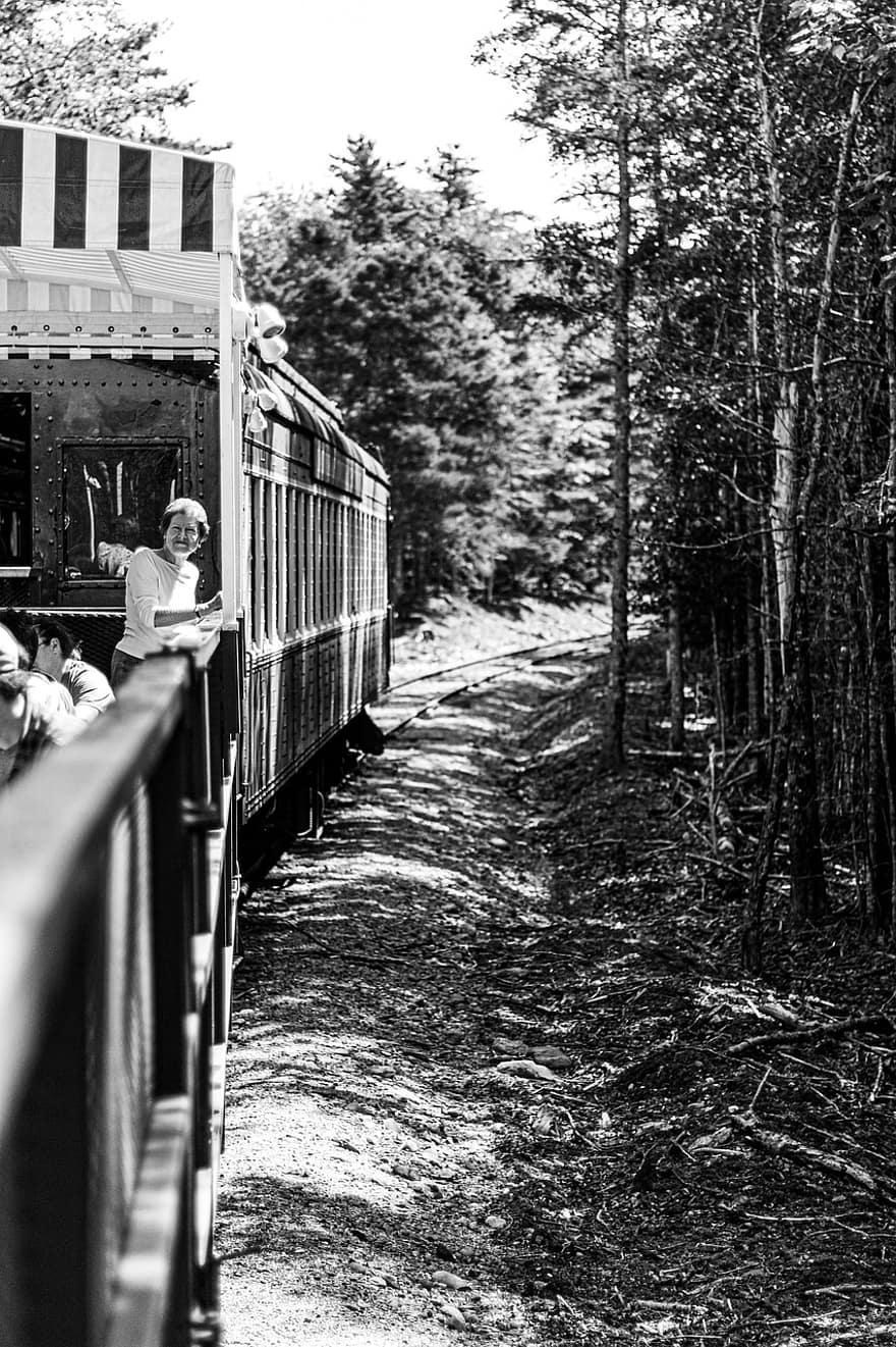 Train, Railway, Track, Forest, Maine, Scenery, black and white, men, travel, women, adult