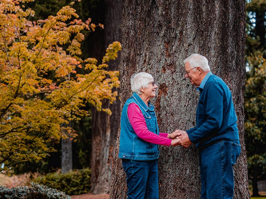 ældre par, bedstefar, bedstemor, bedsteforældre, træ, efterår, lykkelig, glad, hvidt hår, intim, tæt