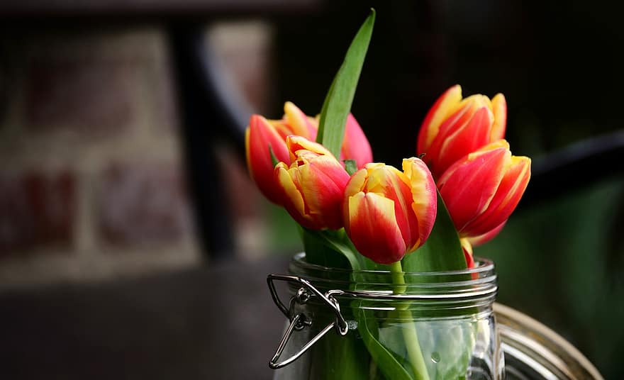 tulipán, virágok, Váza, szirmok, virágzás, virágzik, növényvilág, tavaszi virágok, virág, növény, virágfej