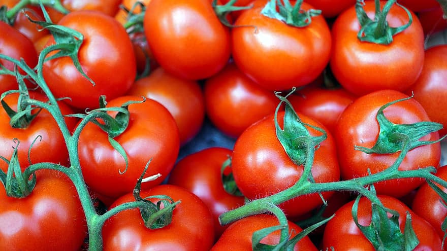 tomates, vermelho, maduro, legumes, Comida, saudável, fresco, nutrição, produzir, orgânico, colheita