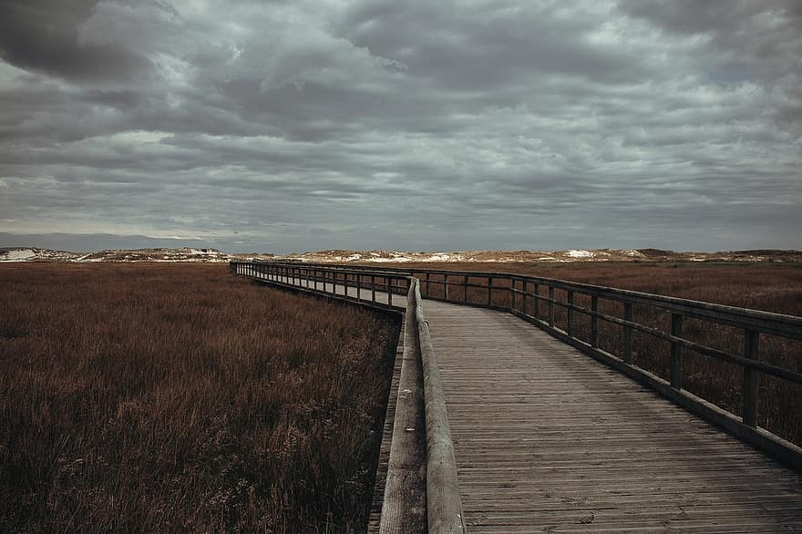 polku, ranta, värit, pilviä, merenranta, jalanjälkiä, puinen jalkakäytävä, jalanjäljet, Islanti, luonto, hiekka