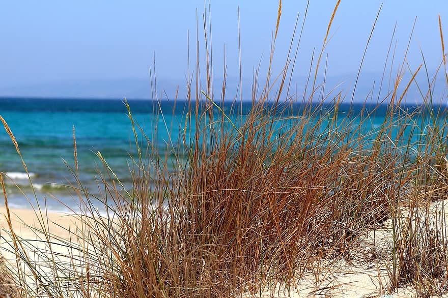gräs, strand, strandgräs, dyn, sanddyn, dynskydd, sommar, blå, sand, kustlinje, vatten