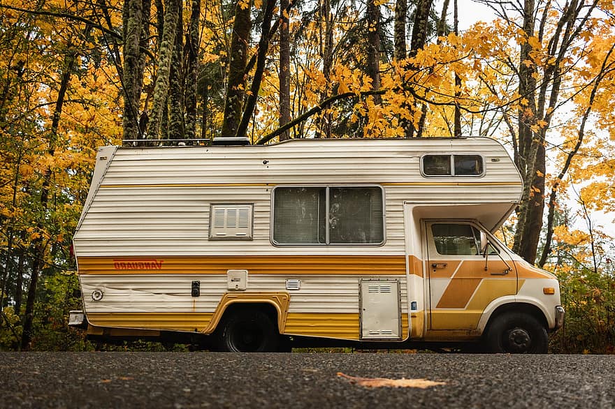Camper, Camper Van, Forest, Autumn, Vehicle, Car, Automobile