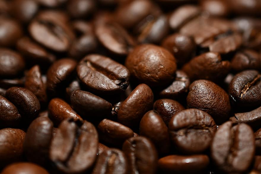 kaffe, bönor, frön, koffein, kaffebönor, Kafé, arom, rostad, mat, dryck, brun
