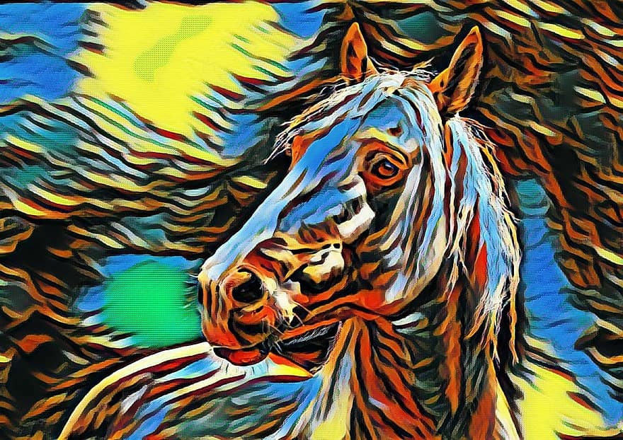 kůň, barvitý, zvíře, hřebec