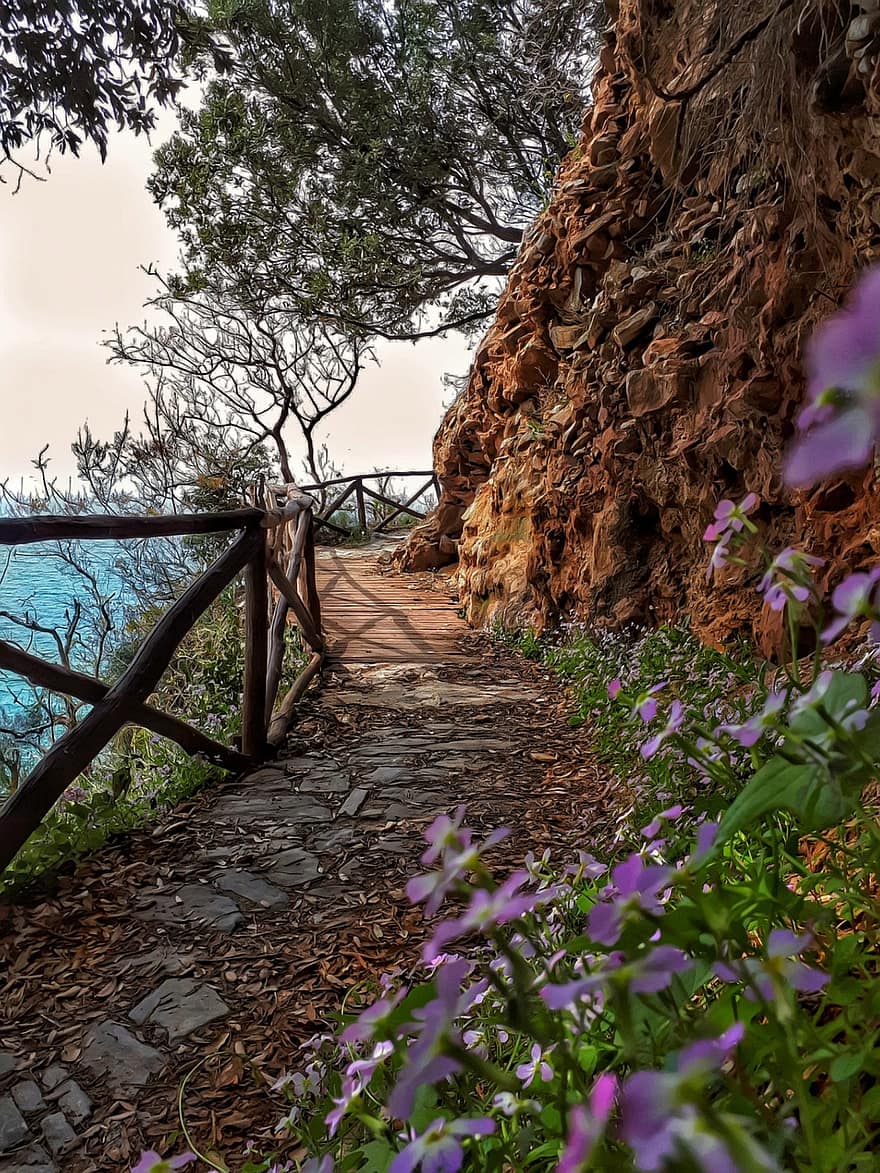 Trees, Path, Sea, Flowers, Hellas, Pelion, Nature