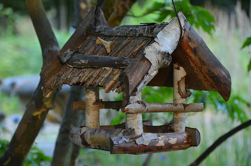 τροφοδότης πουλιών, ξύλο σημύδας, birdhouse, φύση, Αμβούργο