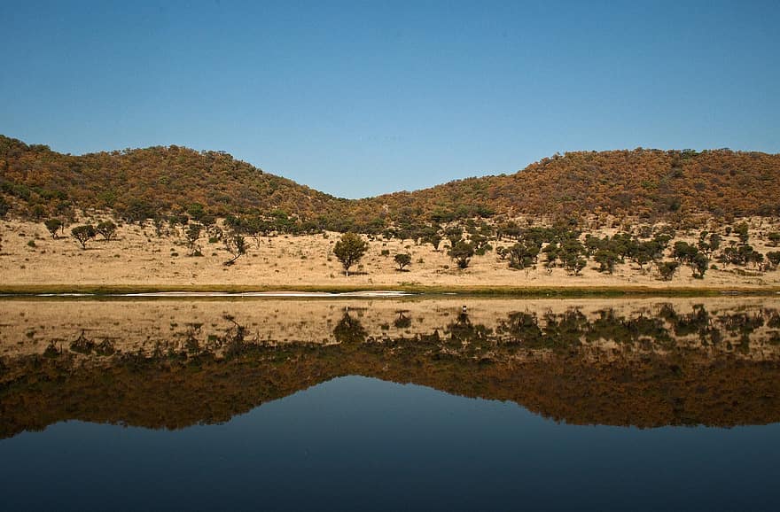 Lake, Forest, Trees, Reflection, Water, Salt, Mineral, Flat, Mirror, Meteor Crater, Rim