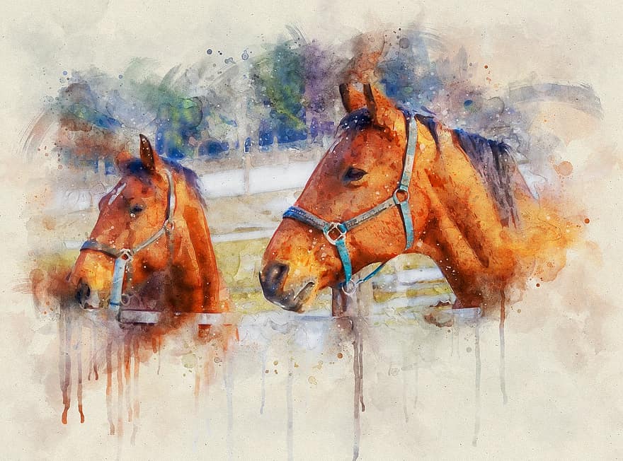 Horses, Brown, Animal, Animal World, Pasture, Paddock, Coupling, Graze, Watercolor