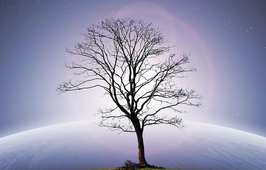 дерево, місяць, світло, простору, промінь, небо