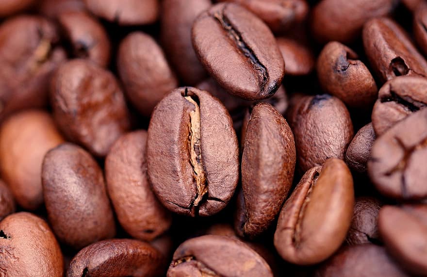 kava, kavos pupelės, aromatas, Iš arti, pupelės, fonas, sėklos, makro, kofeinas, šviežumas, gerti