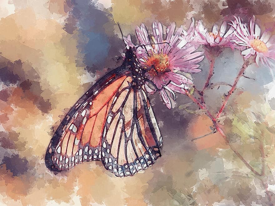 kelebek, kelebekler, hükümdar, böcek, haşarat, yusufçuk, çiçek, doğa, hayvan, yaz, yaban hayatı
