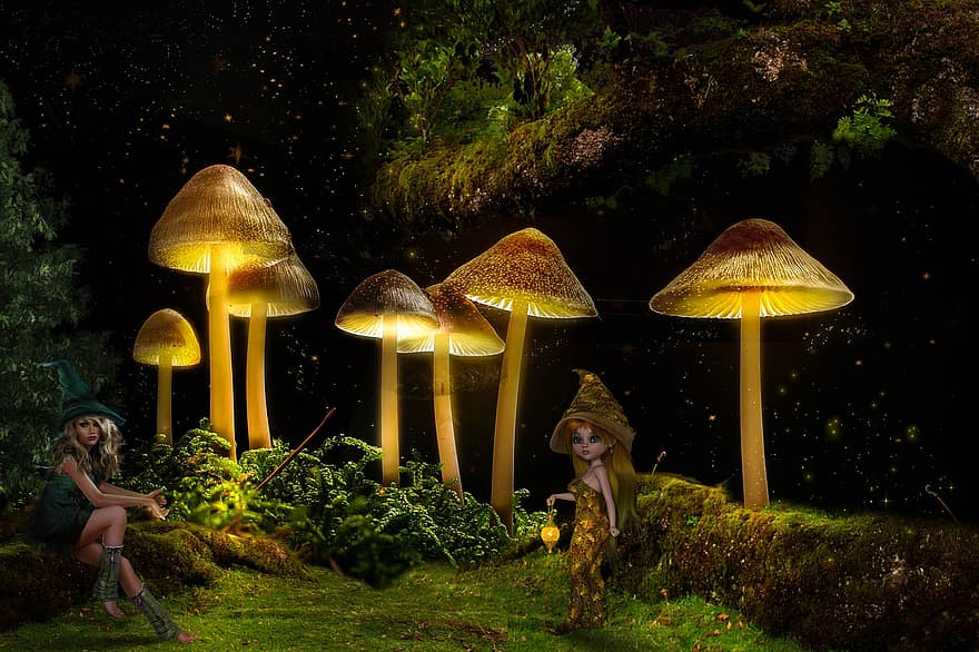 fantasía, ligero, bosque, hongos, elfos, estado animico, naturaleza, cuentos de hadas, noche, fondo, feliz