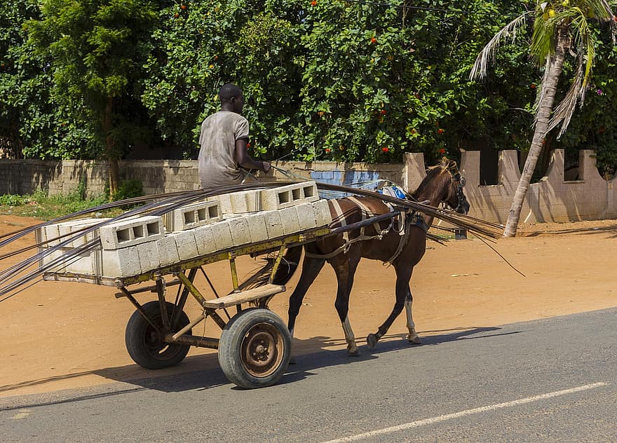 Afrique, cheval, transport, route, marchandise