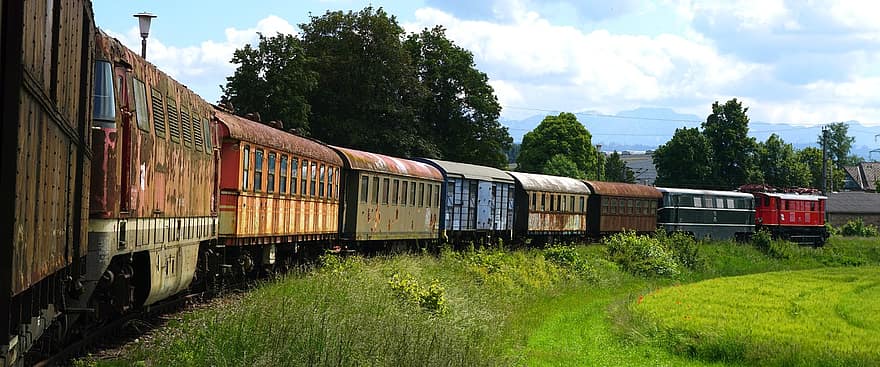 vilciens, dzelzceļš, Sarūsējuši vilcienu vagoni, pļava, ainavu
