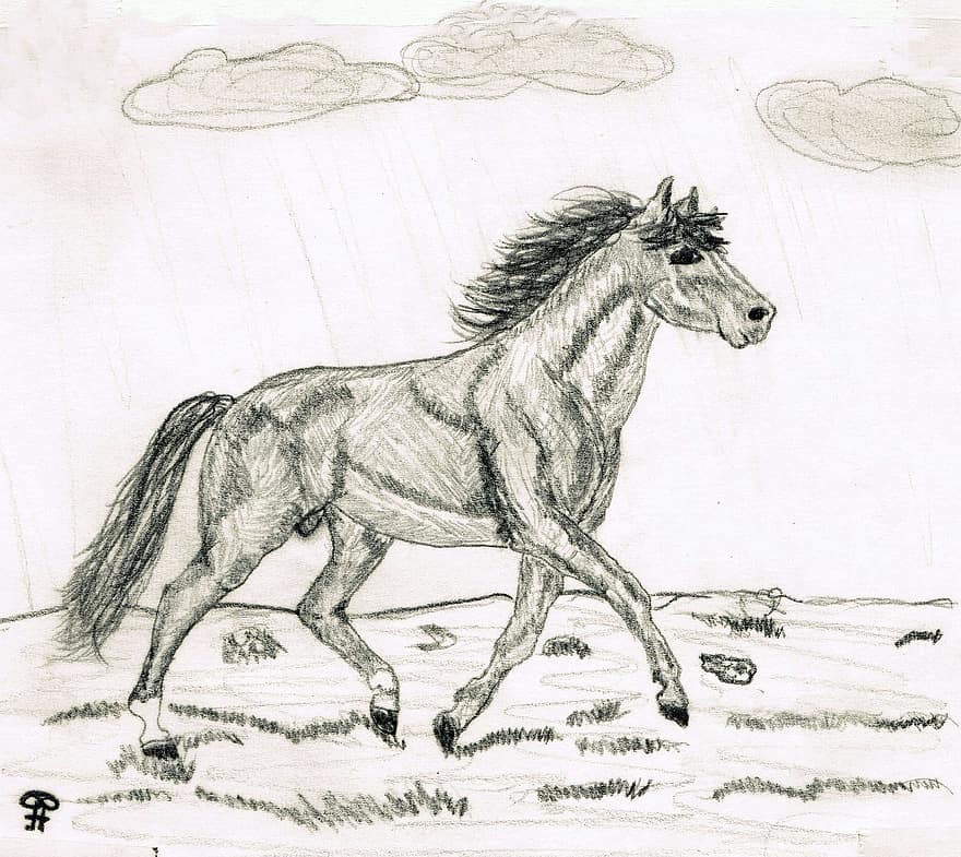 tekening, potloodtekening, paard, hand getrokken schets, zwart en wit, verf, beeld