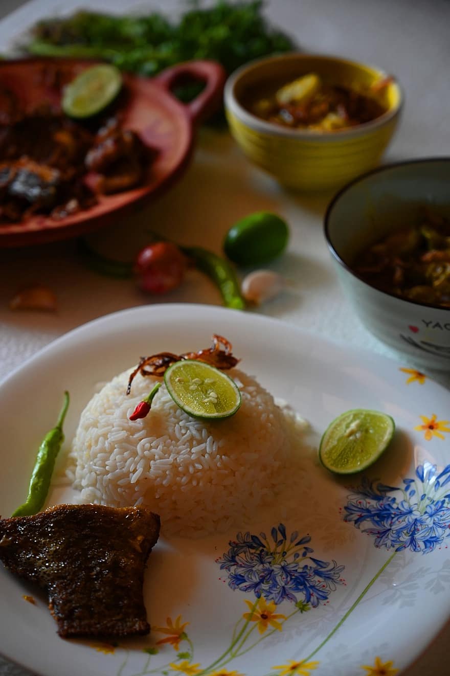 생선 카레, 쌀 요리, 아시아 음식, 쌀, 식품, 아시아 사람, 요리, 식사, 건강한, 신선한, 전통적인
