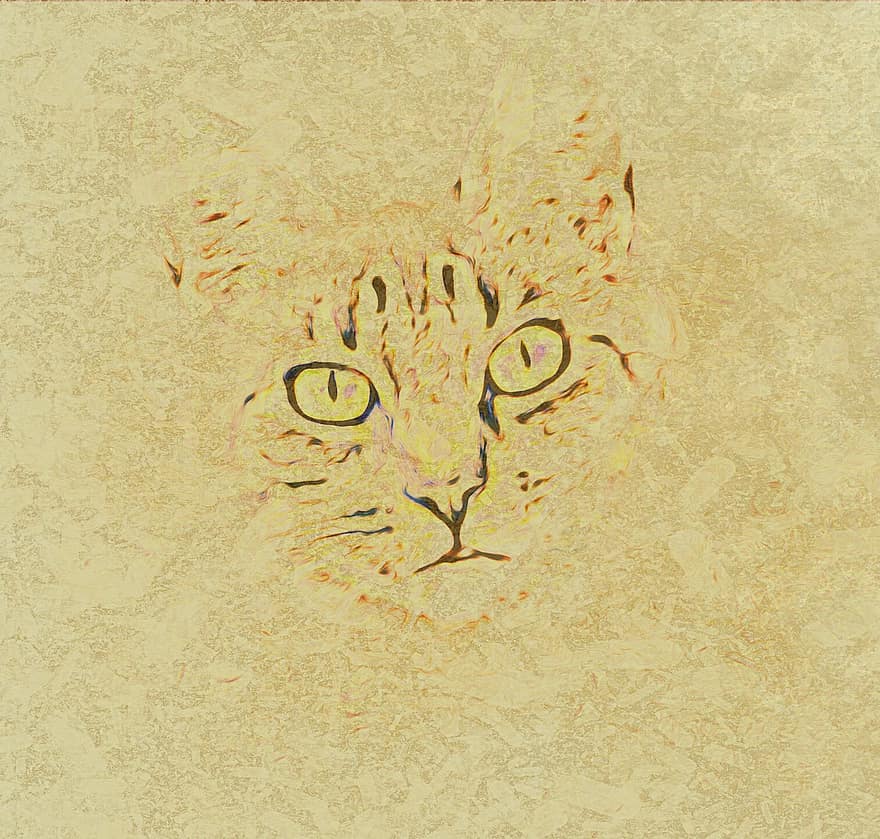 menggambar kucing, seni, warna coklat tua, gambar, hewan, kucing, Desain, membelai, karakter, sketsa, menyenangkan